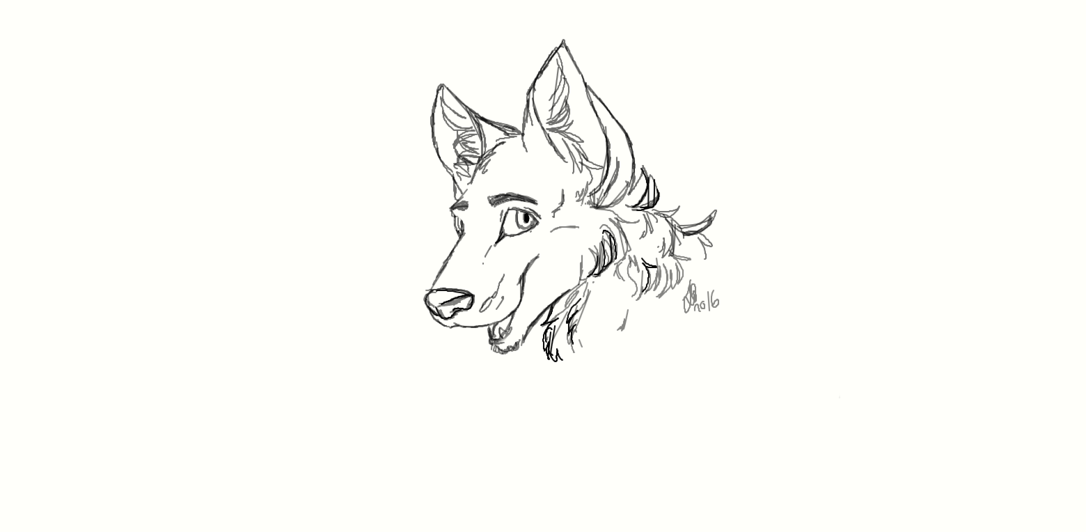 Random wolf doodle