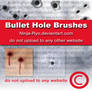 PS6 BRUSHES - Bullet Holes