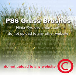 PS6 BRUSHES - Grass