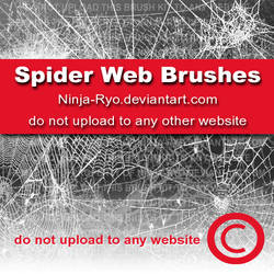 PS6 BRUSHES - Spiderwebs