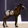 081 Foal Design