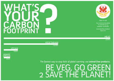 Carbon Footprint Banner