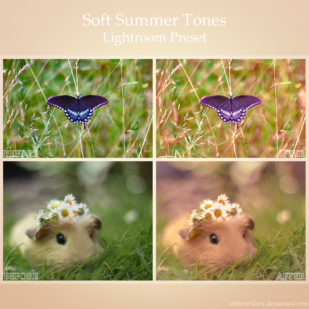 Soft Summer Tones - Lightroom Preset