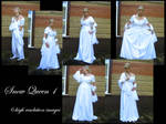 Snow Queen 1 stock pack by Mithgariel-stock