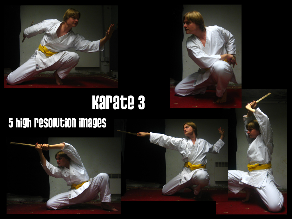 Karate 3