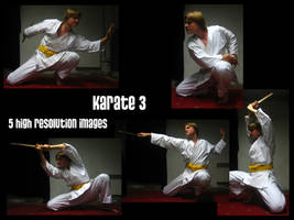 Karate 3