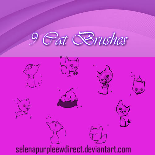Cat Brushes by SelenaPurpleewDirect on DeviantArt
