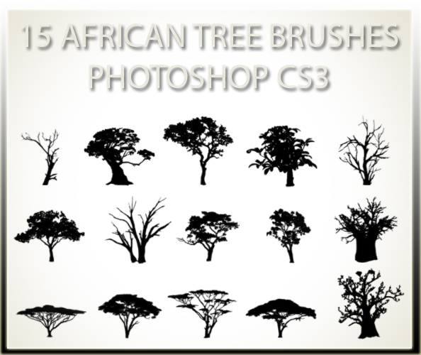 15 African Tree Brushes PSCS3