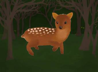 Pudu