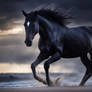 A Horse With No Name 01