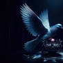 Peace Secret