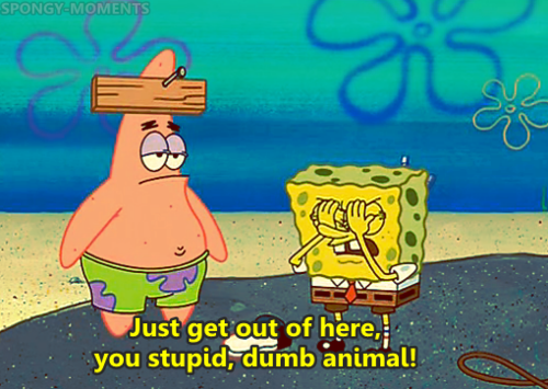 Just Get Out Of Here You Stupid Dumb Animal By Gjyyngii On Deviantart Just Get Out Of Here You Stupid Dumb Animal By Gjyyngii On Deviantart