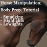 horse manipulation, body prep.
