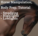 horse manipulation, body prep. by PoeticJustice314