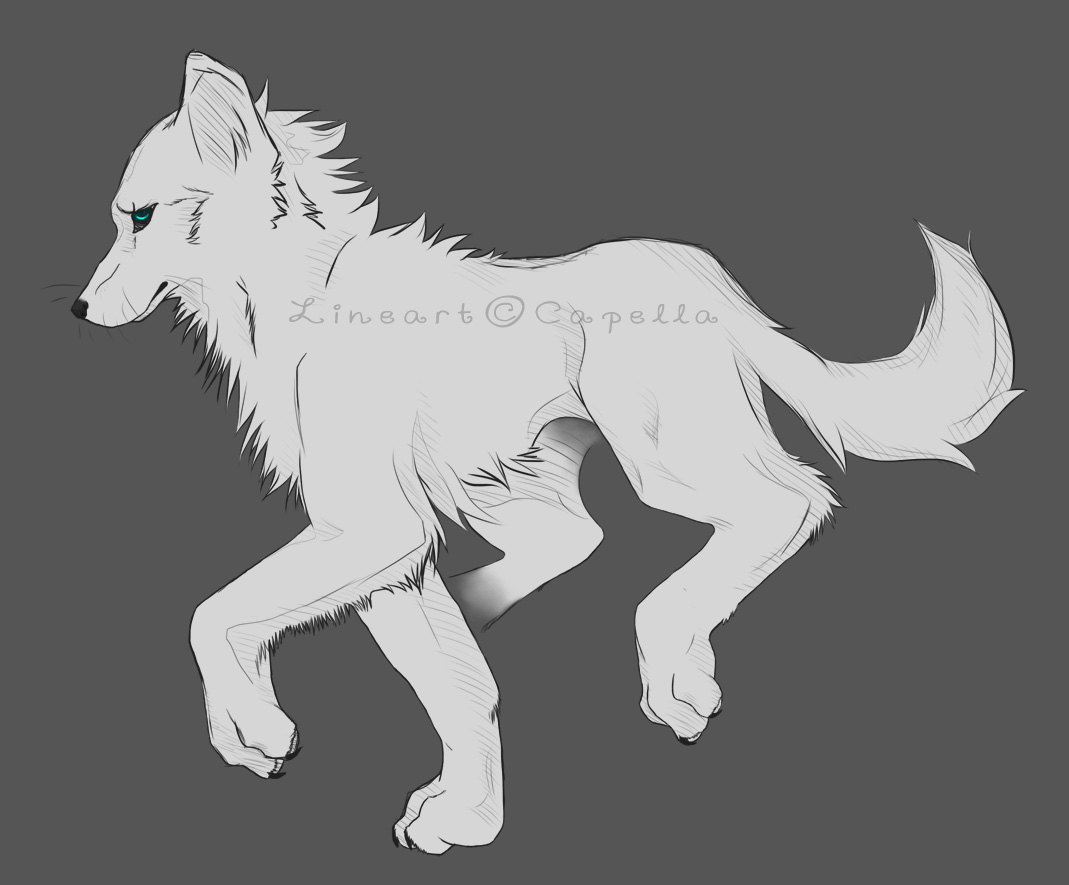 Wolf Lineart