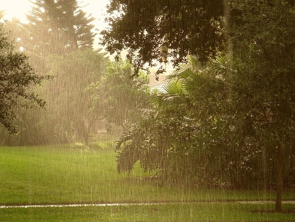 Sun shower. Дождливое утро пейзаж вид из окна. Кантри дождь. Rainy Scene. Sunshower Raindrops.