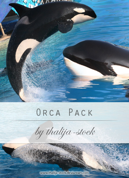 pack - 005 Orcas