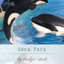 pack - 005 Orcas