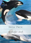 pack - 005 Orcas by thalija-STOCK