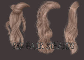 PSD HAIR SRANDS 11