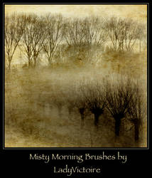 Misty Morning Brushes 1