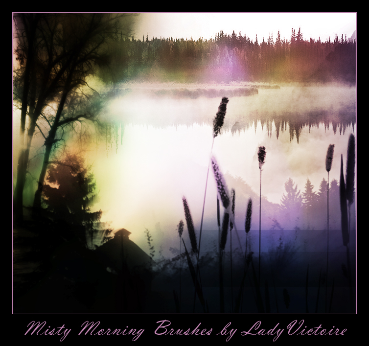 Misty Morning Brushes 2