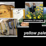 -YELLOW PALE PACK-