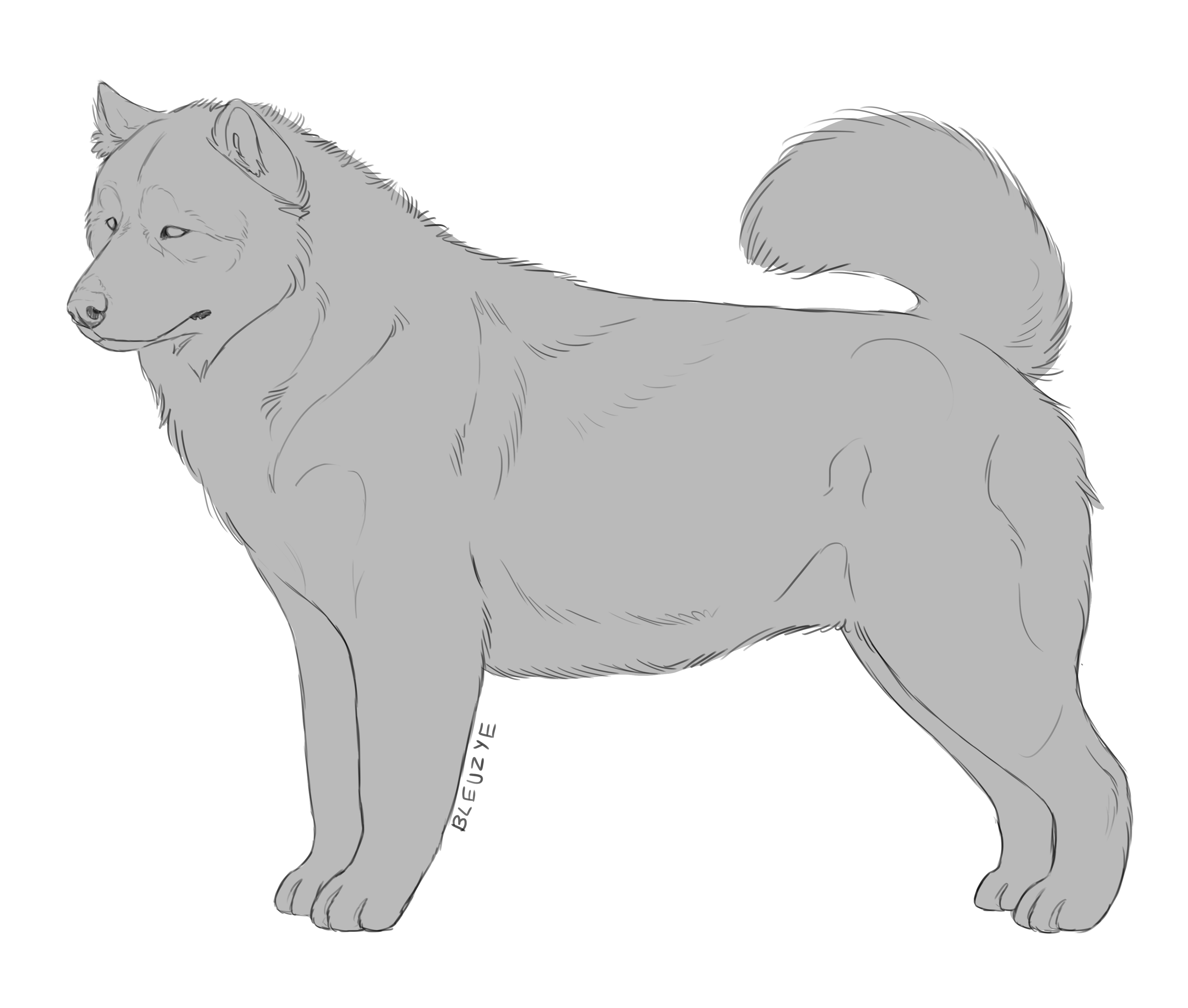 Free to Use Malamute Lines by bleuzye on DeviantArt