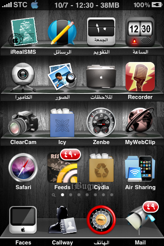 iBugnah Theme iPhone 3G -