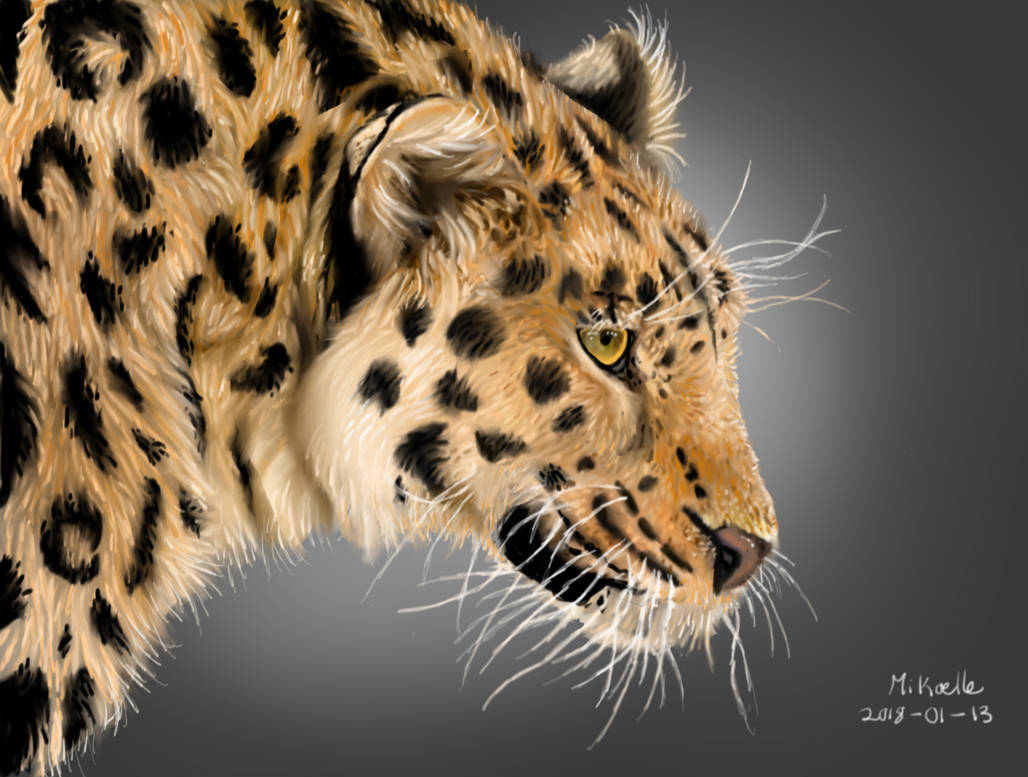 leopard in reference other picture by MikaKoda on DeviantArt