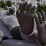 Lemur's Beach feet [ANIMATION]