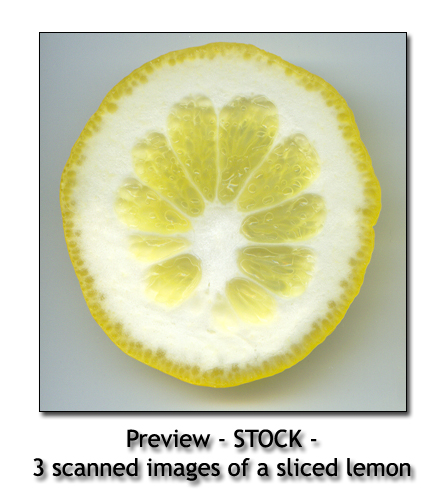 - STOCK - sliced lemon 2