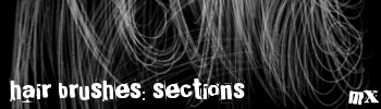 Hair Brushes: Sections by maskimxul