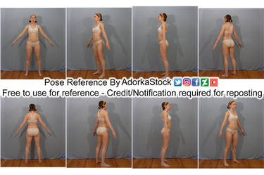 Free 3D Model Reference Pack F - Pose 1