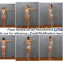 Free 3D Model Reference Pack F - Pose 2