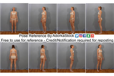 Free 3D Model Reference Pack F - Pose 3