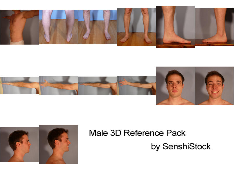 Free 3D Model Reference Pack M - Extras by AdorkaStock on DeviantArt