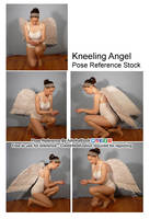 Stock - Kneeling Angel Pack