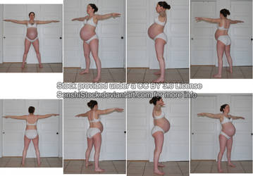 40 Week Pregnancy Turn Around Set 2 - Reference