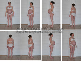 40 Week Pregnancy Turn Around Set 1 - Reference