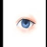 :: Eye Demo Timelapse ::