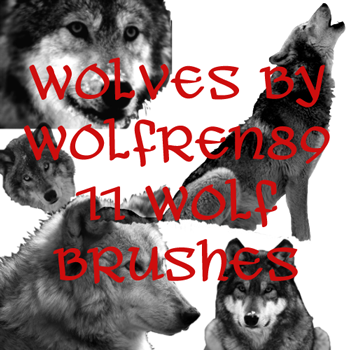 Wolf Brush Set