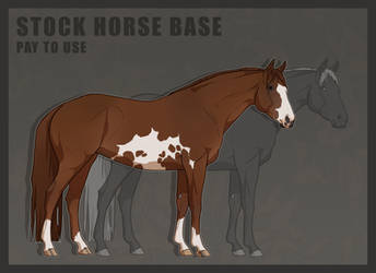 P2U Shrew's Australian Stock Horse Base