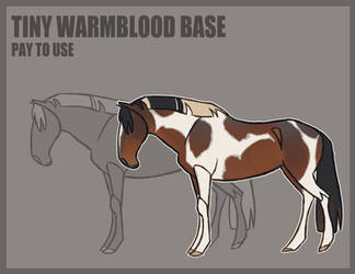 P2U Shrew's Tiny Warmblood Base