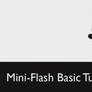 Flash Basic Tutorial 1