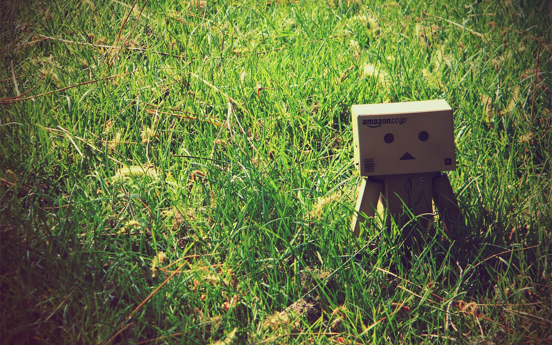 HerbeDanbo