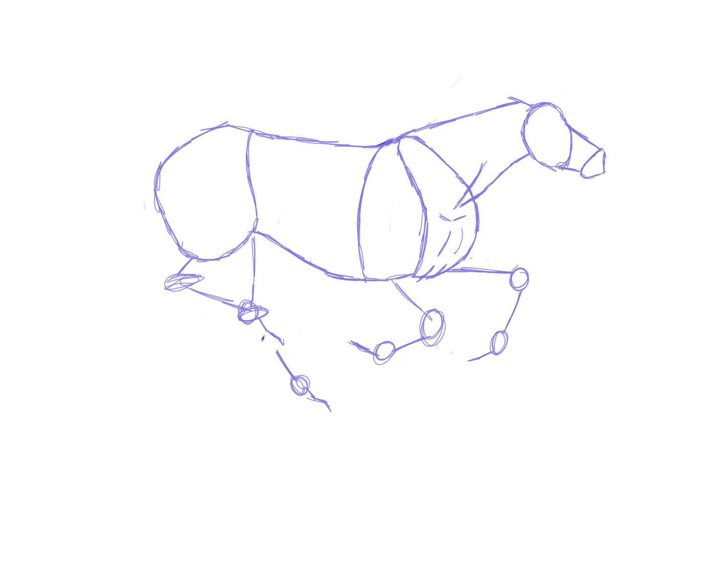 gallop animation practice