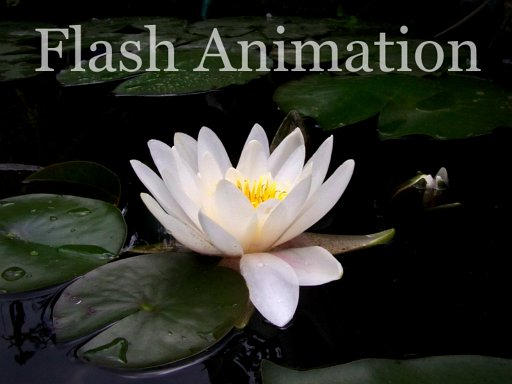 Water Lilies - Flash Animation by vojis