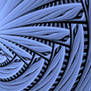Apophysis Disc Tutorial 1