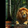 Jungle girl riding a lion